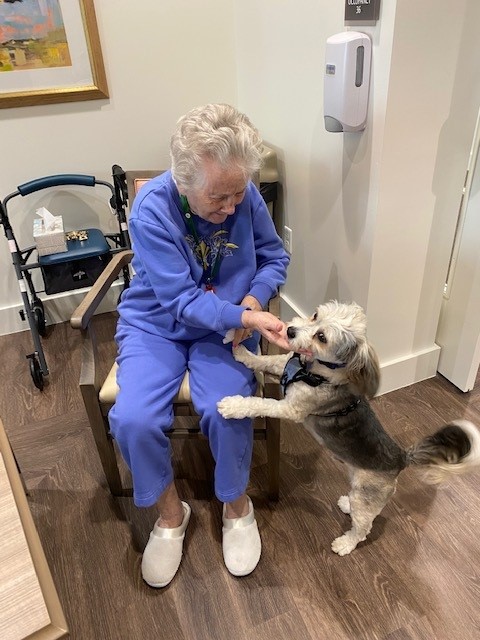 Capstone_at_Royal_Palm_Pet_Therapy_Day2