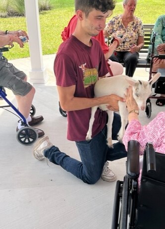 Petting zoo