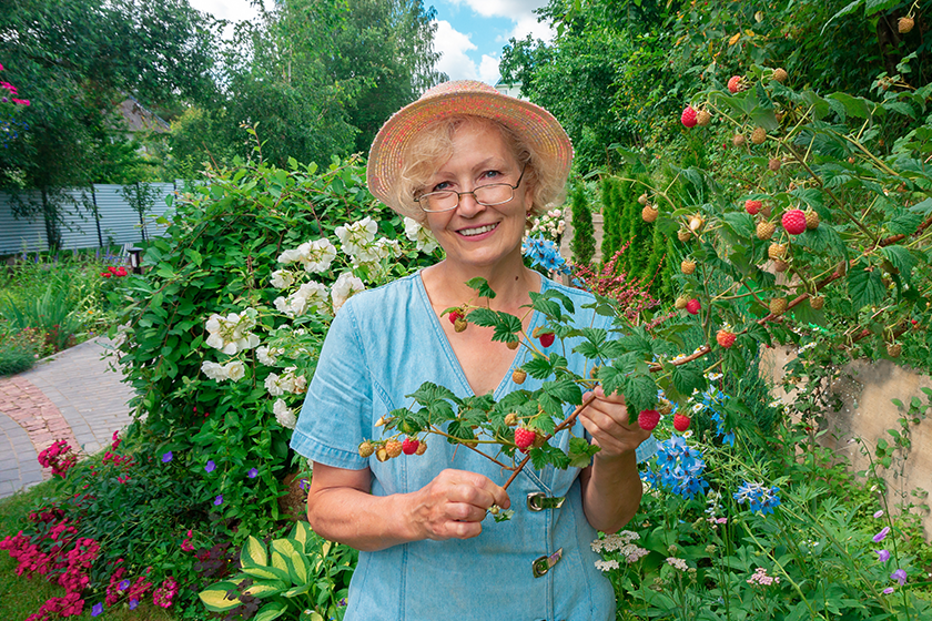 portrait senior lady gardener her garden