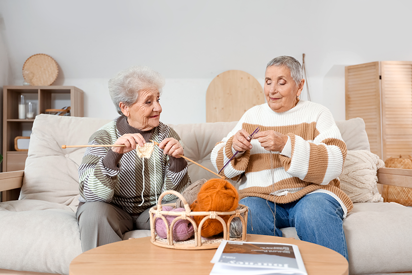 senior female friends knitting