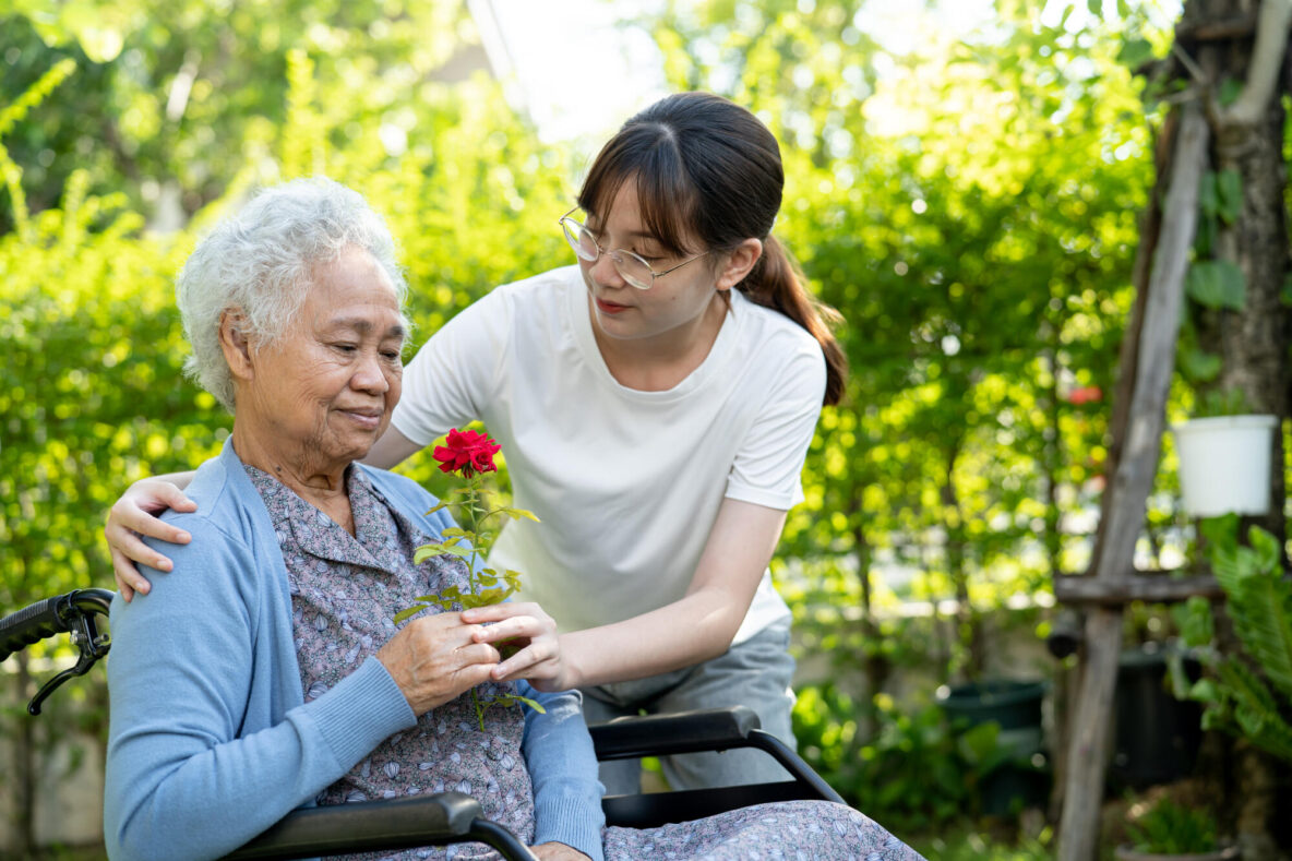 Asian senior or elderly old lady woman holding red rose flower,